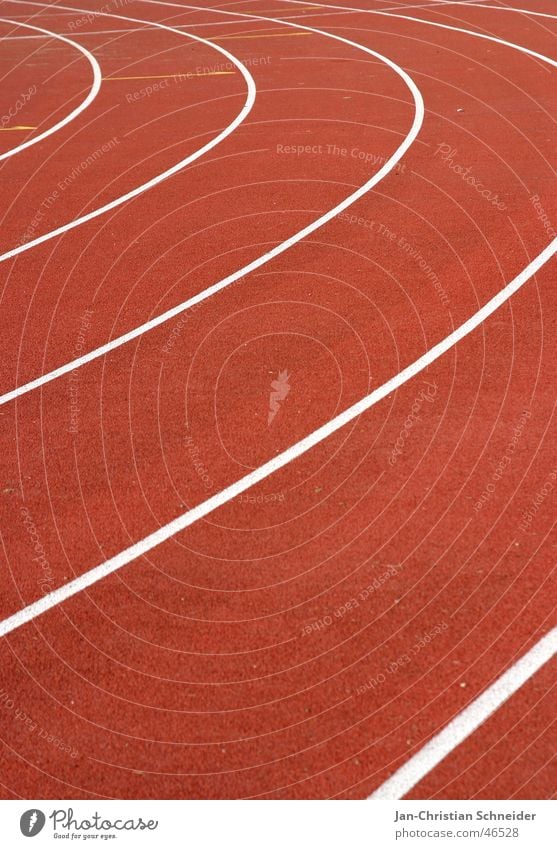 Laufbahn rot Streifen weiß Sonne Licht Untergrund Sportveranstaltung Lebenslauf Sportler laufen Schatten Bodenbelag Reihe Eisenbahn Linie