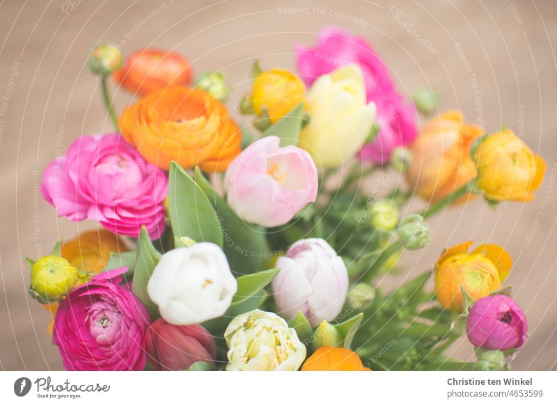 Blumengruß mit Ranunkeln und Tulpen / bald ist Valentinstag Blumenstrauß Schnittblumen Freude Blümchen Ostern Pfingsten Geburtstag bunte Blumen freundlich