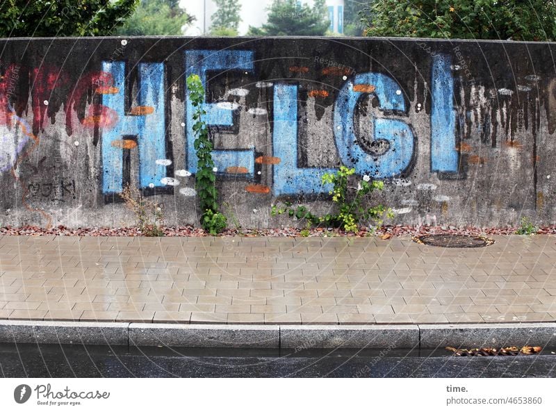 Werkstatt | OmaHommage mauer grafitti Name Buchstaben gehweg straße Helgi pflanze bunt urban