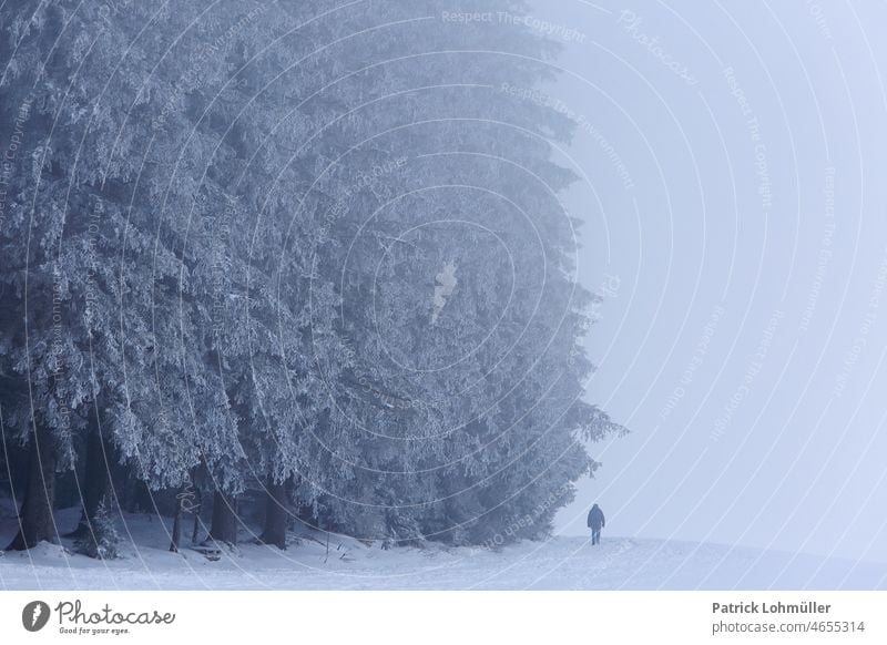 Schneemann schwarzwald spaziergang mensch person urlaub tourismus winter schnee baum landschaft erkältung natur frost weiß himmel eis blau gefroren jahreszeit