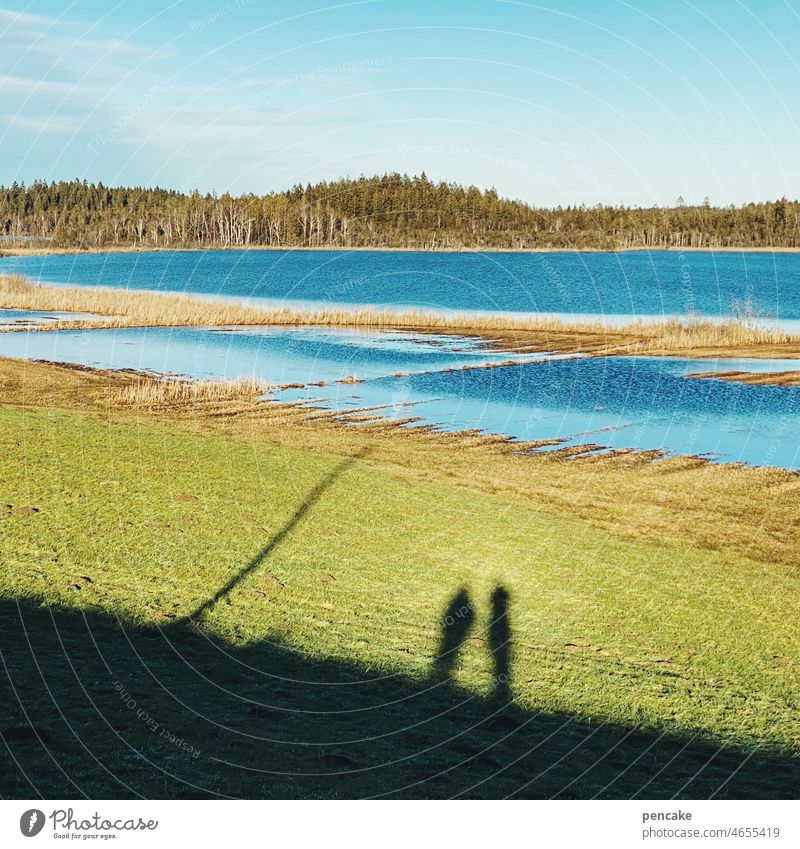 schwedenlook sehen Ursee Allgäu spaziergang blau Personen Schatten pfahl Ried Wald Landschaft Erholung Wasser Wiese