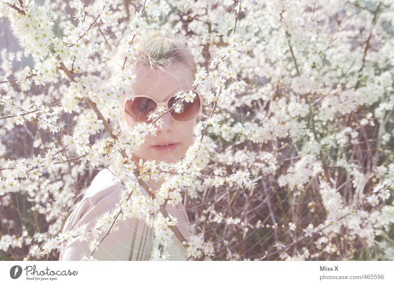 sixties Mensch feminin Junge Frau Jugendliche Gesicht 1 18-30 Jahre Erwachsene Frühling Pflanze Blume Sträucher Blüte Accessoire Brille Sonnenbrille Blühend