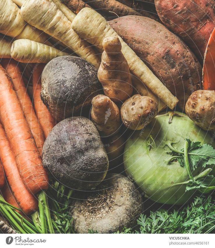 Wurzelgemüse Hintergrund Großaufnahme abschließen Rote Beete Karotten Kohlrabi süß Kartoffel Pastinak Gesundheit farbenfroh saisonbedingt fallen Gemüse