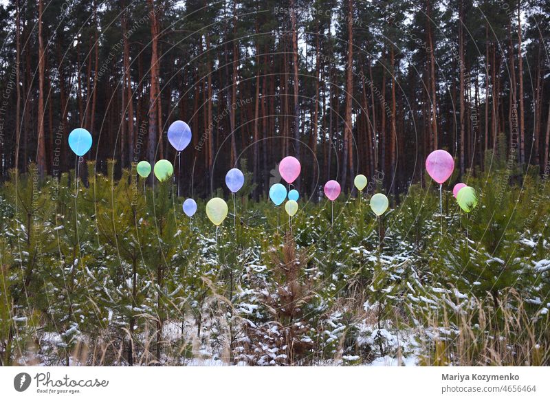 Ballons in den Wäldern. Party Bäume Winter Wald Landschaft Schnee Glück Feier mehrfarbig Gefühle Kunst kalt gefroren Schneefall balloons
