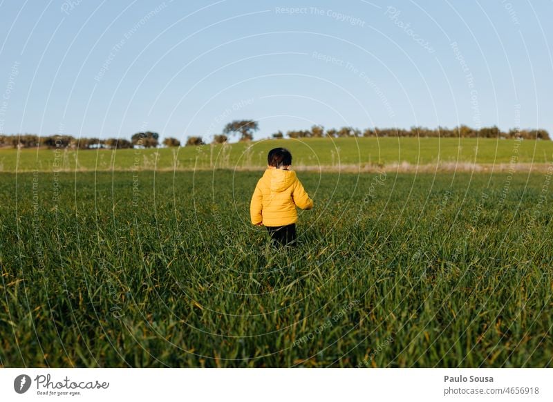 Rückansicht eines Kindes auf der grünen Wiese Junge 1-3 Jahre Kaukasier gelb Kindheit Mensch Außenaufnahme Farbfoto Leben Natur Kleinkind Feiertag reisen Feld