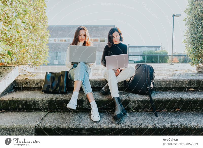 Zwei junge Studenten arbeiten an ihren Laptops außerhalb der Universitätsklasse und sitzen mit Taschen und modischer Kleidung zusammen. Junge Studenten, die nebeneinander arbeiten und lernen. Kreativer Student. Junge Frau auf dem Campus.