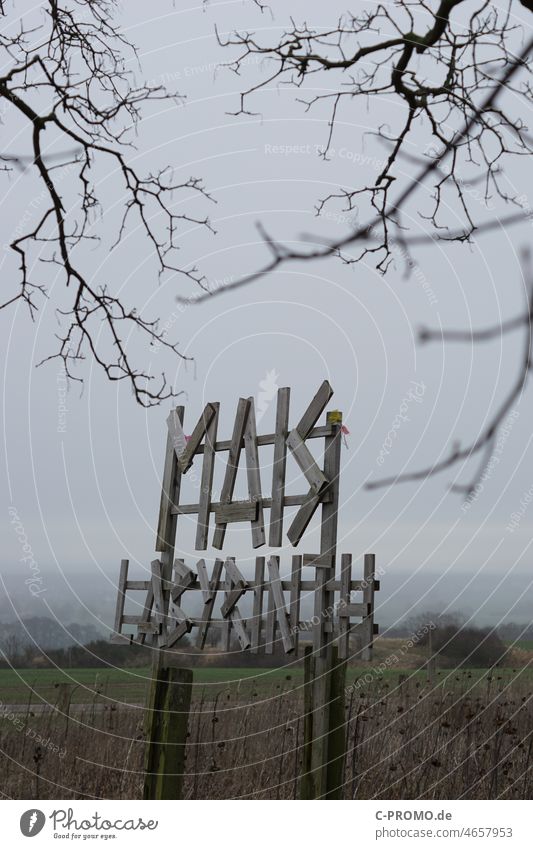 Mais-Labyrinth-Schild im Herbst gruselig trüb bedrohlich Baum Außenaufnahme dunkel Nebel Menschenleer trist schlechtes Wetter