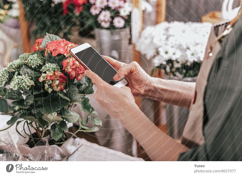 Der Florist hält ein Smartphone in der Hand. Der Florist nimmt eine Bestellung mit Hilfe von Internettechnologien entgegen. Arbeitsplatz eines Blumenhändlers. Konzept eines kleinen Unternehmens. Konzept der Blumenlieferung. Seitenansicht.