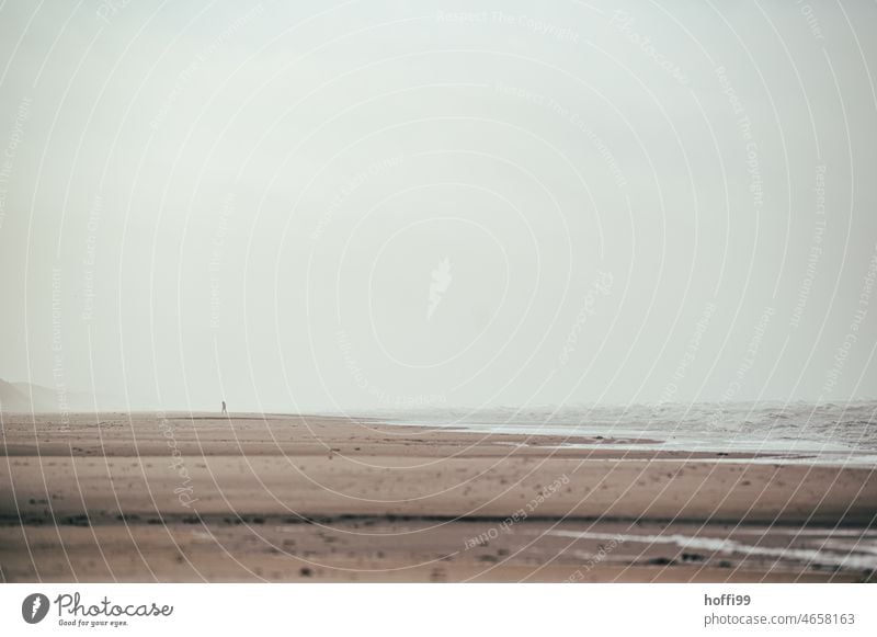 einsamer Strandläufer in der Ferne bei Sturm und diesigem Wetter am Nordseestrand Küstenlinie Strandspaziergang Minimalismus Nebel Dunst Meer Landschaft Natur