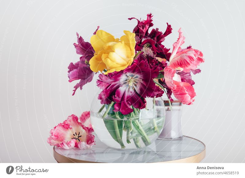 Strauß Papagei Stil Tulpen Blume Papageien-Tulpe Blumenstrauß Vase Blumenkollektionen Frühlingsblüte frisch präsentieren Geschenk Anlass Feiertag festlich