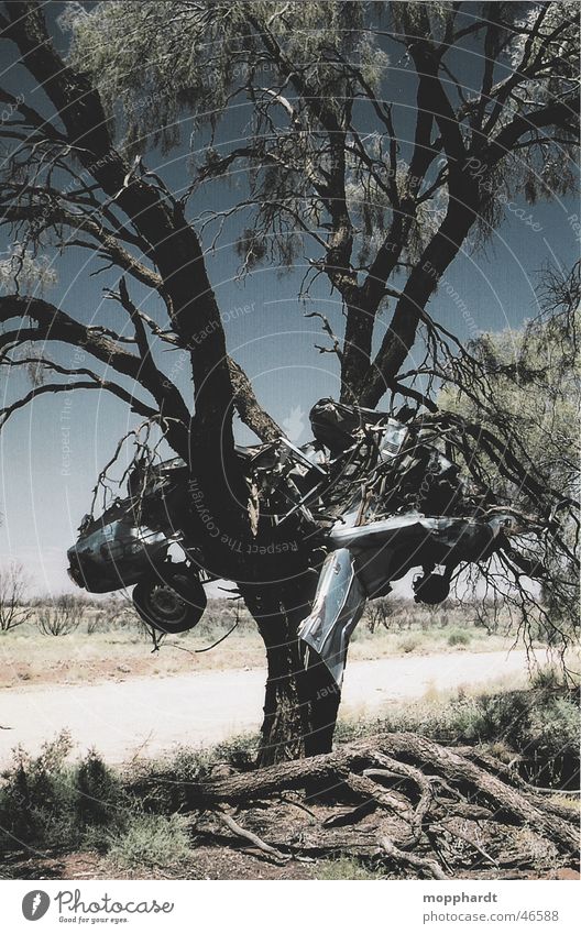 Autocrash Baum Unfall Outback Schrott Australien Beule Kratzer Sommer Physik Verlauf Gras Verkehr PKW car accident Metall Rost Himmel Lack Wärme Sonne Straße