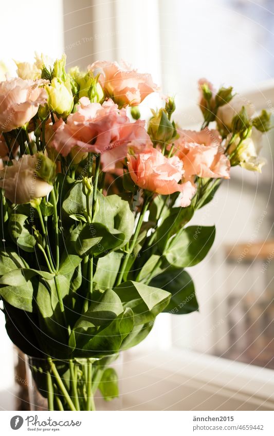 Ein Strauß mit Eustoma steht im Fenster Blumen Frühling Blumenstrauß Dekoration & Verzierung Blüten rosa aprikofarben hell Innenaufnahme Natur grün Blühend