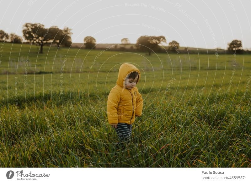 Kind mit gelber Kapuzenjacke geht auf grünem Gras Kindheit Junge 1-3 Jahre Kaukasier Farbfoto authentisch Lifestyle Leben Freizeit & Hobby Freude Außenaufnahme