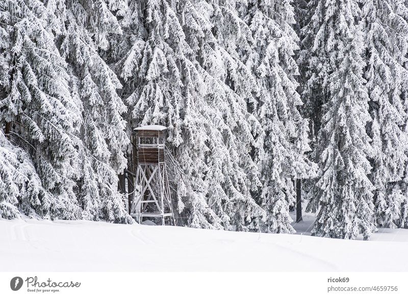 Landschaft im Winter im Thüringer Wald in der Nähe von Schmiedefeld am Rennsteig Schnee Thüringen Ansitzeinrichtung Baum Natur Hochsitz weiß Frost kalt Urlaub