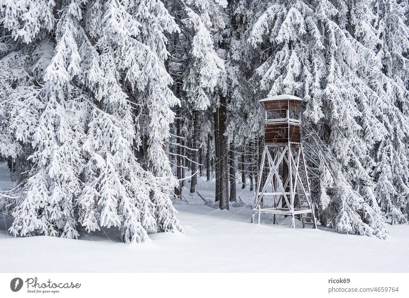 Landschaft im Winter im Thüringer Wald in der Nähe von Schmiedefeld am Rennsteig Schnee Thüringen Ansitzeinrichtung Baum Natur Hochsitz weiß Frost kalt Urlaub