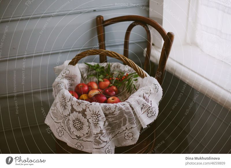 Äpfel in einem Vintage-Korb auf einem Holzstuhl zu Hause am Fenster. Äpfel in einem Korb auf dem Lande geerntet. Cottagecore rustikale Ästhetik. natürlich