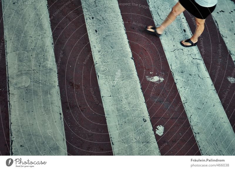 frisch gestrichen! feminin Frau Erwachsene Beine Fuß 1 Mensch Verkehrswege Straßenverkehr Fußgänger Straßenkreuzung PKW Rock Bewegung gehen Geschwindigkeit