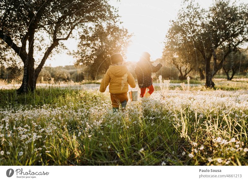 Bruder und Schwester gehen auf einer Blumenwiese spazieren Geschwister Zusammensein Zusammengehörigkeitsgefühl Kind Kindheit authentisch