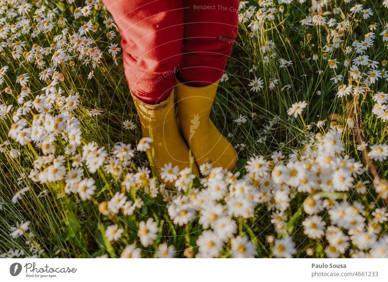 Kind mit gelben Gummistiefeln auf geblümtem Feld Mädchen rot Gänseblümchen Frühling Frühlingsgefühle Frühlingsblume Frühlingstag Blume Natur Blühend Pflanze