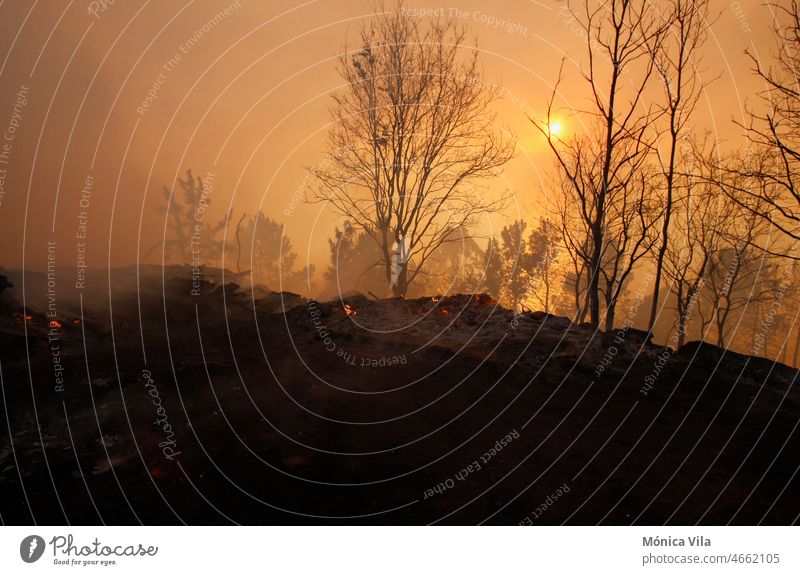 Verbrannte Bäume und Flammen eines Waldbrandes Wasser Silhouette Hubschrauber Hintergrundbeleuchtung Feuerwehrmann Brandbekämpfung Galicia Umwelt nachhaltig