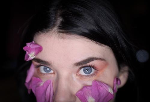 Augen und Rosenblüten blaue Augen Blick in die Kamera Rosenblätter Roséwein rosa Rose Blume Schminke dunkles Haar Wimpern Selbstporträts Nahaufnahme