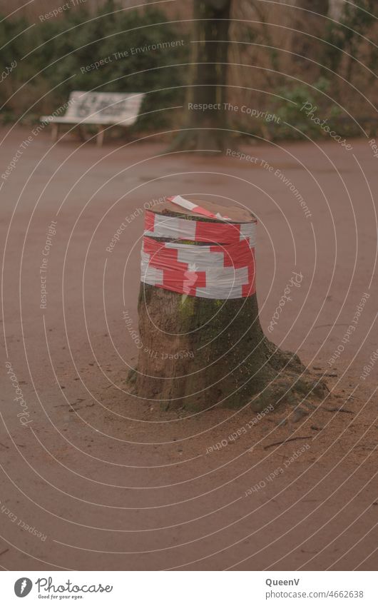 Geschnittener Baum mit Absperrband im Park Holz Klotz Absperrung Sicherheit Schutz Flatterband Prävention Waldsterben Abholzung Entwaldung Dresden Natur Schmerz