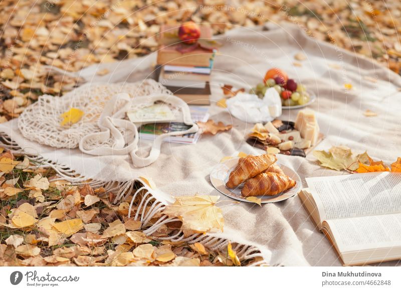 Romantisches Picknick im Herbst Park mit Bücher zum Lesen und Essen - Croissants, Käse, Nüsse, Obst auf dem Teller. Mit Picknick in der Natur im Freien an einem sonnigen Herbsttag auf Herbstblätter.