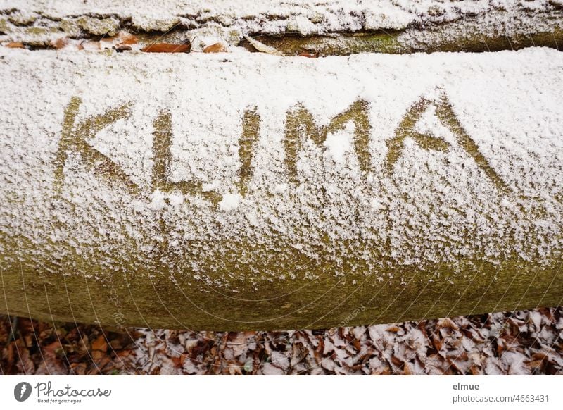 KLIMA  steht mit einem Finger geschrieben auf einem verschneiten Baumstamm, der am Boden liegt / Winter Klima Schnee Klimawandel Schrift Wald Waldsterben