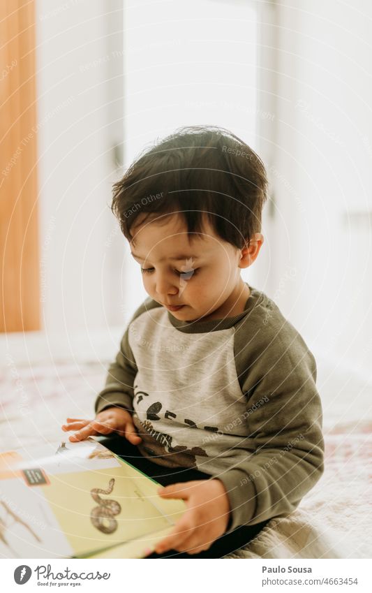 Niedlicher Junge liest ein Buch Kind Kaukasier Porträt lesen Kindheit niedlich Freude Lifestyle jung Mensch schön Menschen Glück Fröhlichkeit authentisch