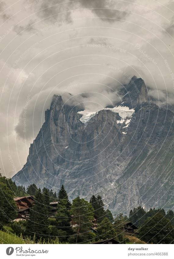 Wetterhorn - wie wahr! Natur Pflanze Urelemente Wolken Gewitterwolken Sommer schlechtes Wetter Unwetter Baum Blume Gras Alpen Berge u. Gebirge Gipfel