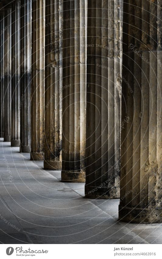 Kolonnaden auf der Berliner Museumsinsel rapport Säulen Säulengang Berlin-Mitte Architektur architektonisch Geometrie geometrisch Perspektive braun