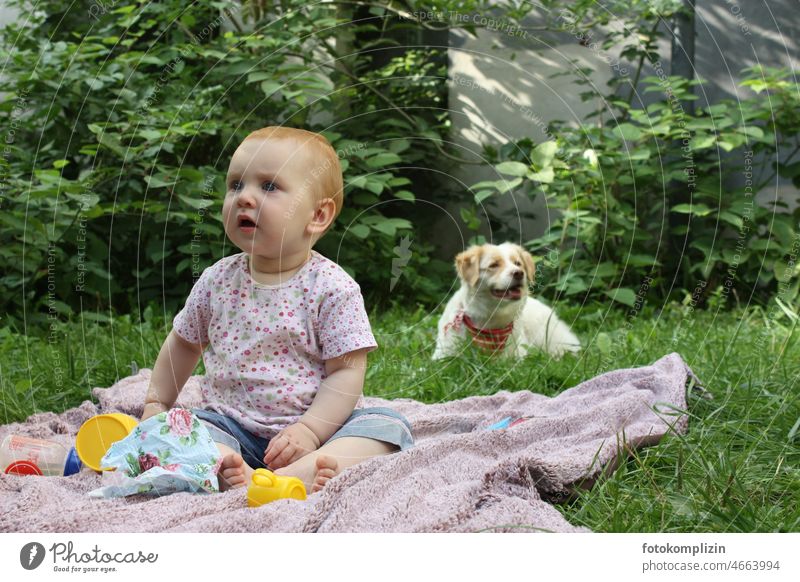 Kleinkind auf einer Decke im Garten mit Hund im Hintergrund Baby Natur neugierig Neugierde schauen blicken aufmerksam Aufmerksamkeit draußen beobachten Tier