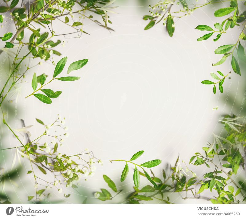 Grüner Blätterrahmen mit unscharfem Hintergrund und natürlichem Licht. Natur Frühling grün Rahmen verschwommen natürliches Licht botanisch Naturhintergrund