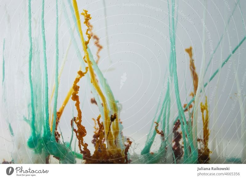 abstraktes Gewächs im Aquarium Geschwüre Korallen Wasser Unterwasseraufnahme Detailaufnahme exotisch gewächs türkis orange braun Hintergrund Pflanze Chemie