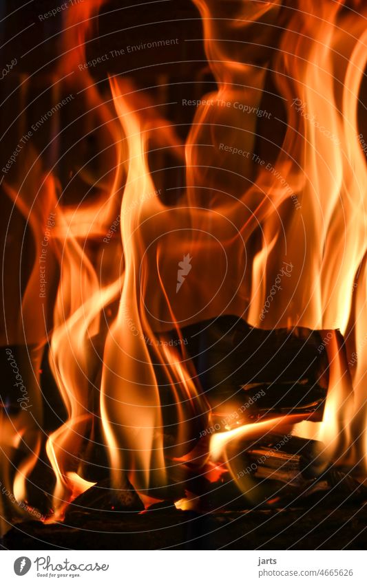 Kaminfeuer II Feuer Flamme warm Wärme Gemütlichkeit Winter Glut heiß Holz Brand verbrennen CO2-neutral Kaminofen Heizung co2-Belastung CO2-Emission Abgas