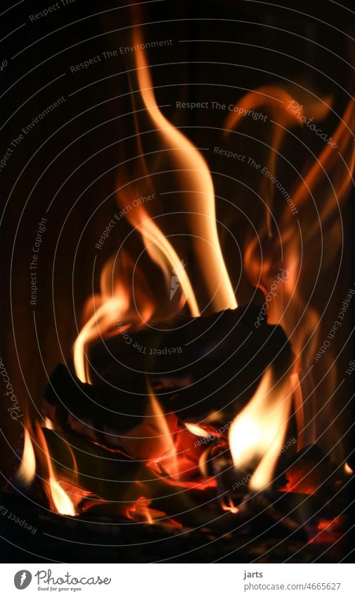 Kaminfeuer Feuer Flamme warm Wärme Gemütlichkeit Winter Glut heiß Holz Brand verbrennen CO2-neutral Kaminofen Heizung co2-Belastung CO2-Emission Abgas