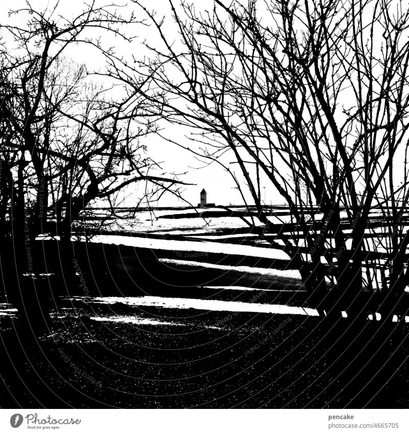 im schnitt tauwetter Scherenschnitt Winter Landschaft Bäume Schwarzweißfoto Turm Tauwetter Schnee Baum schwarz Kontrast Silhouette Linolschnitt