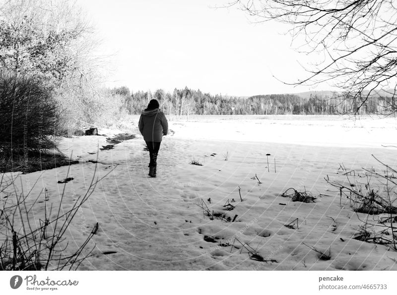 nordic walk Winter Schnee Spaziergang Erholung kalt nordisch Frost Natur gesund Luft frisch Weg Pfad Landschaft Winterlandschaft Person Winterspaziergang