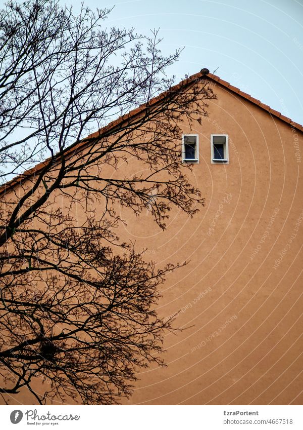 /°°\ Fassade Wand Dach Mauer Fenster Architektur Himmel Ast Baum Haus Textfreiraum Gebäude
