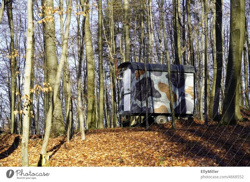 Getarnter Forstwagen im Wald. Forstbetrieb. Natur Bäume Umwelt Landschaft ruhig Schutzhütte Bauwagen camouflage getarnt Wagen Winter