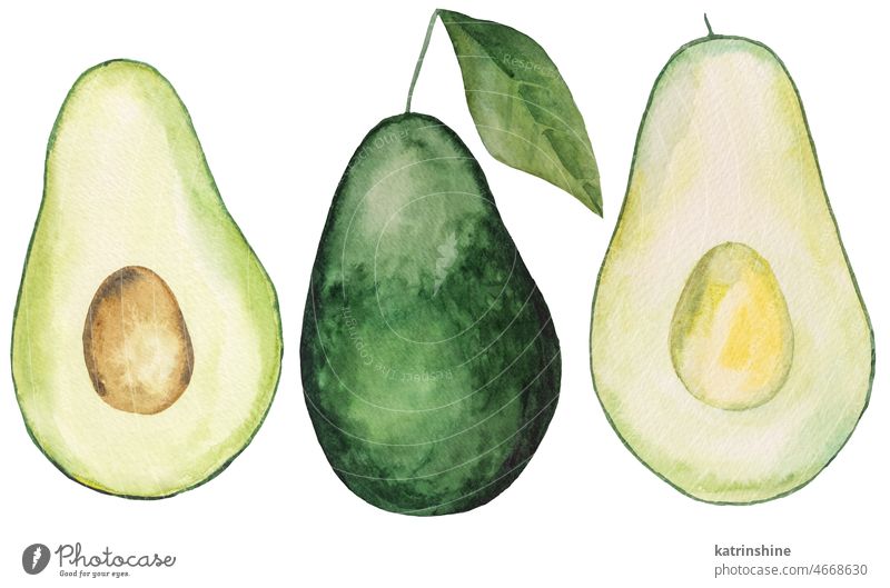 Aquarell grüne saftige Avocado. Ganze und halbe Avocado, tropische Früchte Illustration botanisch geschnitten Dekoration & Verzierung Element exotisch