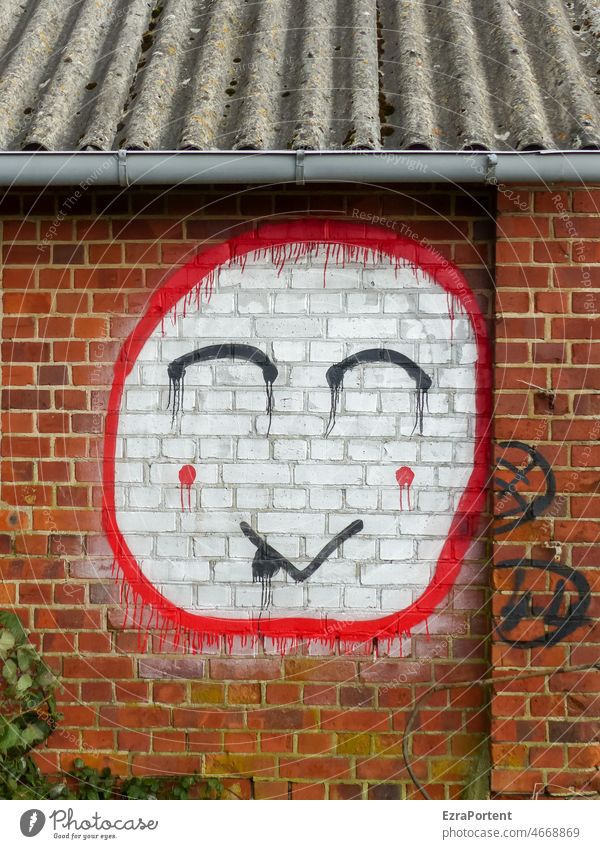 happy Backstein Graffiti Gesicht glücklich Wand Zufriedenheit Porträt freundlich Schüchtern Dach Blick Mauer Klinkerfassade Lächeln lächelnd schämen erröten