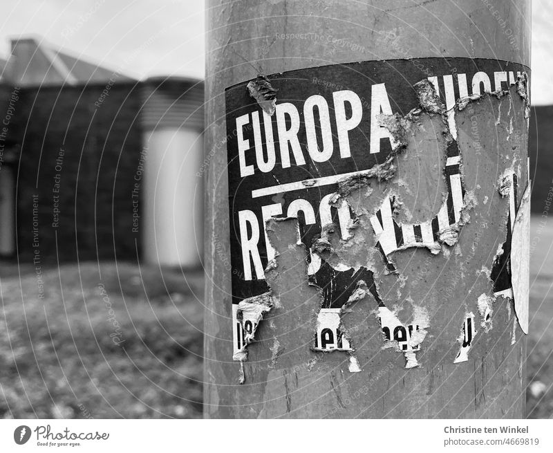 Zerrissener Aufkleber an einer Laterne. Nur das Wort „Europa“ ist noch deutlich zu lesen zerrissen Schilder & Markierungen Nahaufnahme Hinweisschild Typographie