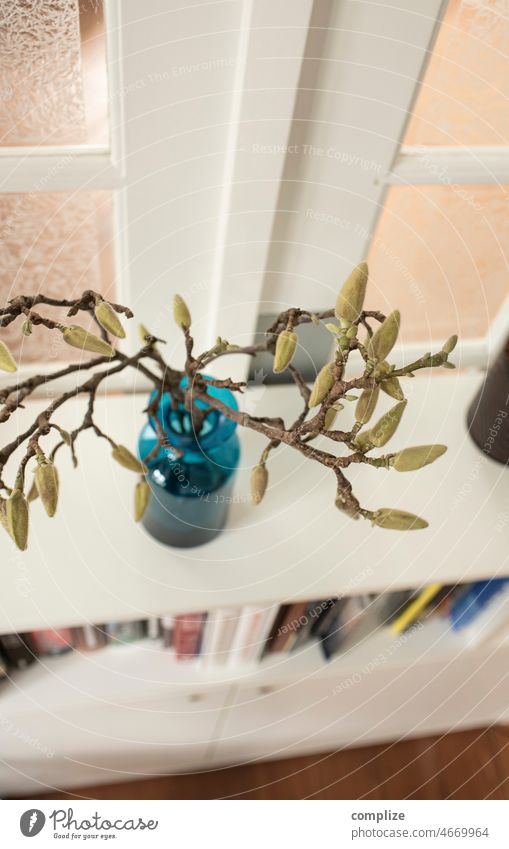 Magnolien Zweig in einer Vase auf einem Sideboard Frühling Knospen Magnolienstrauch magnolienzweig Dekoration & Verzierung Wohnung