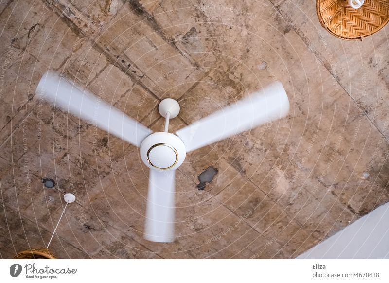 Weißer Ventilator dreht sich an der Decke Deckenventilator kühlen Urlaub Sommer Ferien & Urlaub & Reisen Hitze drehen weiß