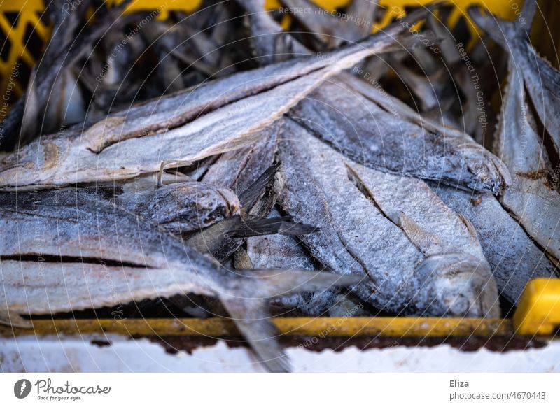 Getrocknete Gesalzene Stockfische gesalzen Fisch getrocknet Lebensmittel haltbar konserviert Fische trocknen Tier