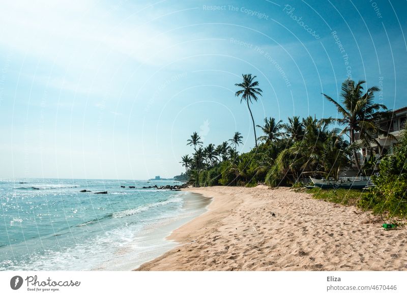 Palmen, Strand und Meer. Urlaubsstimmung in den Tropen. Paradies tropisch Wasser Natur Sommer exotisch Sandstrand leer einsam Küste Landschaft