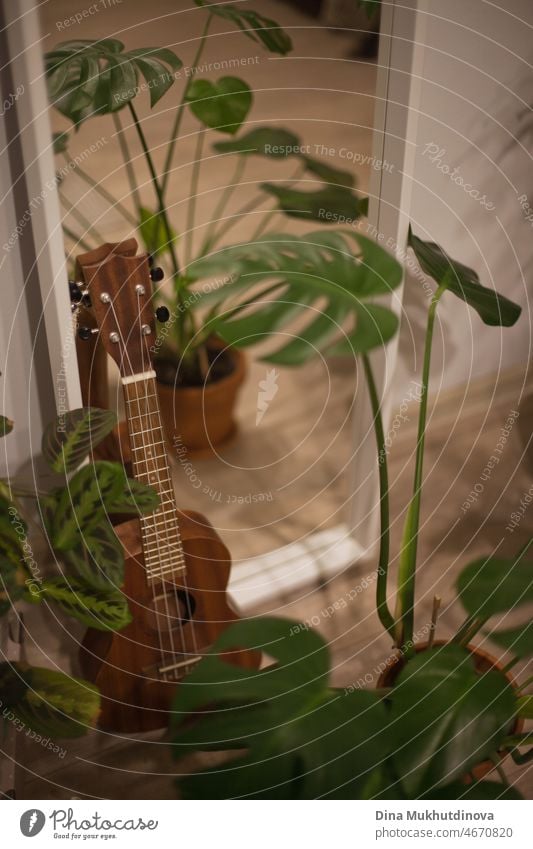 Ukulele zu Hause mit grünen Pflanzen stehen in der Nähe von Spiegel, gemütliche grüne städtischen Dschungel Stil zu Hause Wohnung. Kleine hawaiianische Gitarre Musikinstrument und grüne Topfpflanzen zu Hause