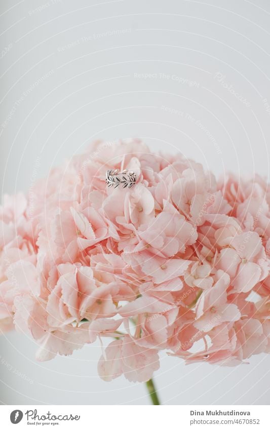 Silber Ring auf rosa Hortensien Blumenstrauß mit Raum auf der Oberseite zu bewältigen, romantische Valentinstag-Karte. Ring für Verlobung und Ehe, romantische Überraschung Geste des Gebens Ring und Blumen, minimalistische Grußkarte.
