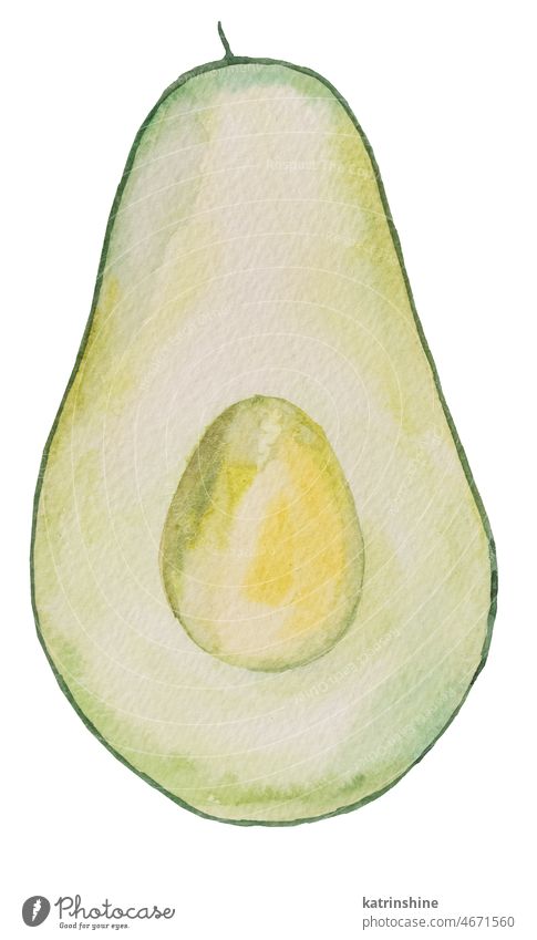 Halbe grüne saftige Avocado. Aquarell tropische Früchte Illustration botanisch geschnitten Dekoration & Verzierung Element exotisch handgezeichnet Gesundheit